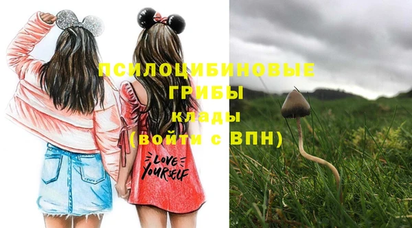 стафф Белокуриха