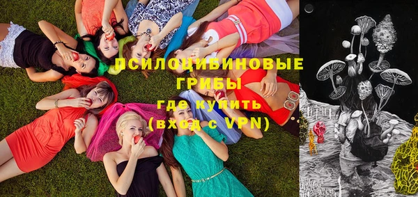 ГАЛЛЮЦИНОГЕННЫЕ ГРИБЫ Беломорск