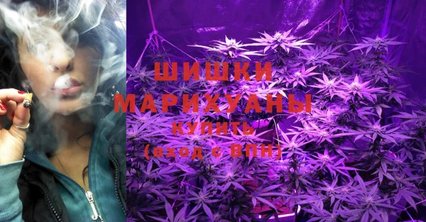 стафф Белокуриха