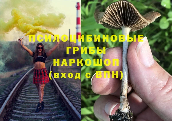 ГАЛЛЮЦИНОГЕННЫЕ ГРИБЫ Беломорск